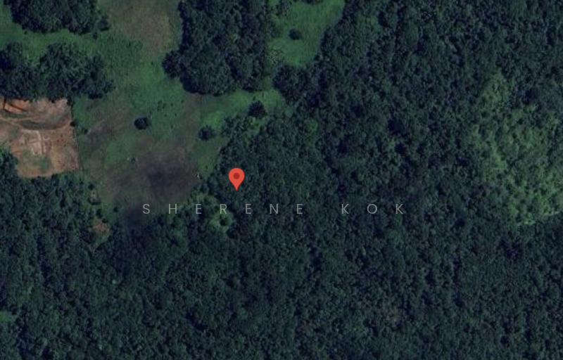 Tanah Pertanian untuk Dijual di Kuap (Kuching) - Sherene Kok - PropertyGuru.com.my