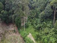 For Sale - Kampung Sungai Penchala