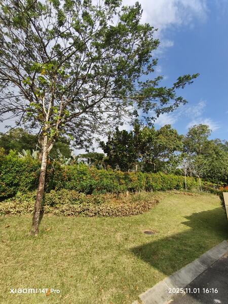 Untuk Disewa - FOREST CITY