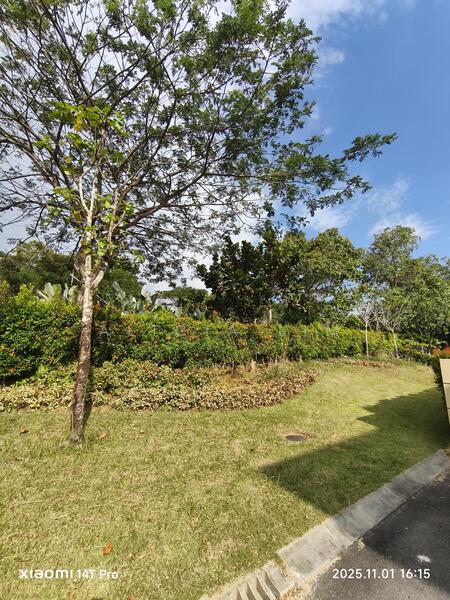 Untuk Disewa - FOREST CITY