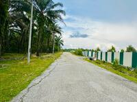 For Sale - Lawan Kuda Tanah