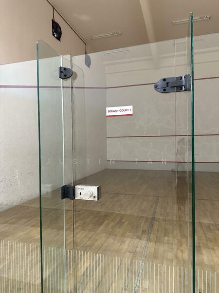 squash court 