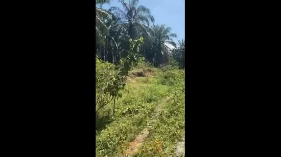 Ipoh Country Park untuk Untuk Dijual - RM 183,000, Mac 2026 - PropertyGuru.com.my