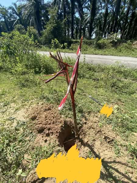 Ipoh Country Park untuk Untuk Dijual - RM 183,000, Mac 2026 - Exterior - PropertyGuru.com.my