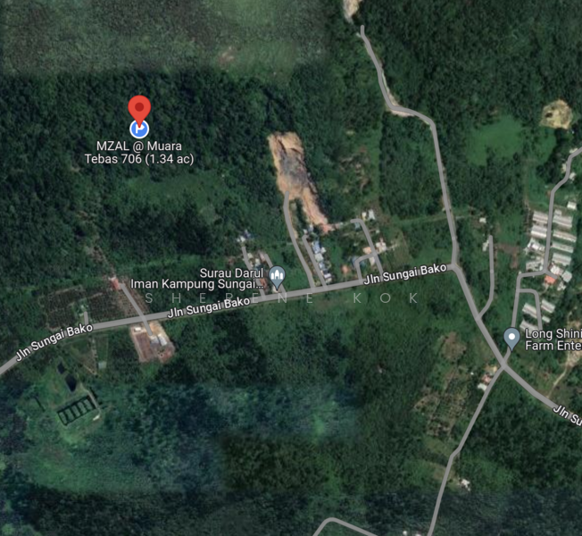 For Sale - Agricultural Land @ Bako Muara Tebas Jalan Sungai Bako