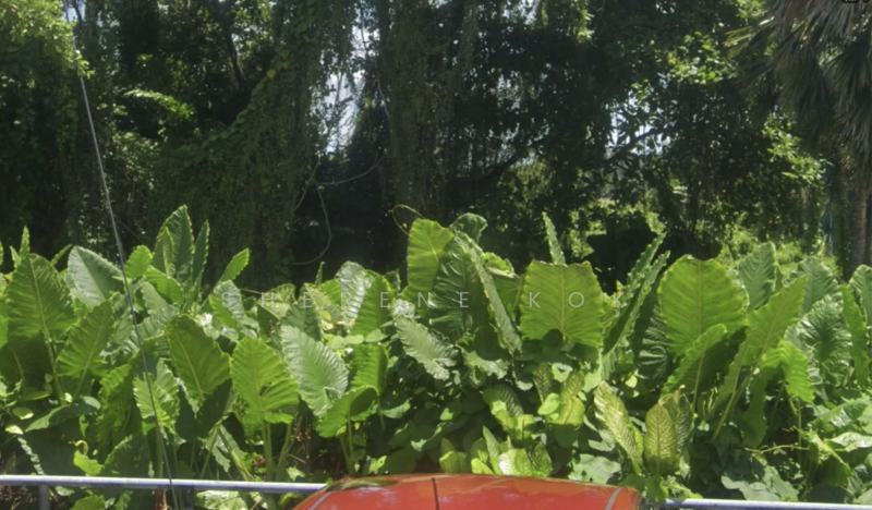 Agricultural Land for Sale in Petra Jaya (Kuching) - Sherene Kok - Exterior - PropertyGuru.com.my