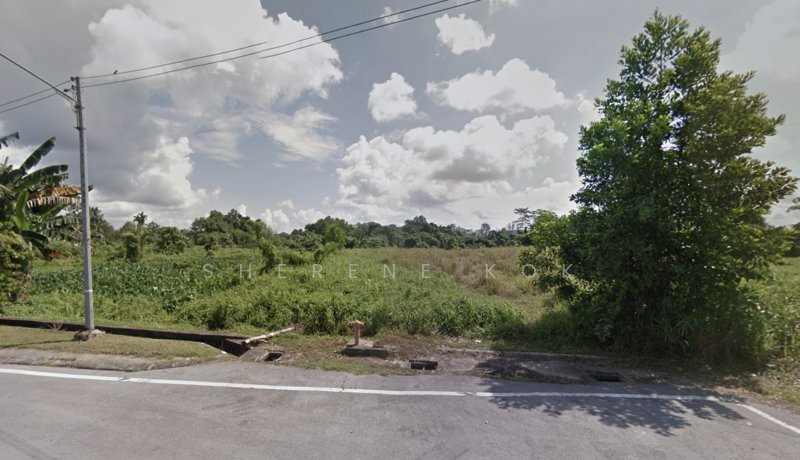 Agricultural Land for Sale in Petra Jaya (Kuching) - Sherene Kok - Exterior - PropertyGuru.com.my