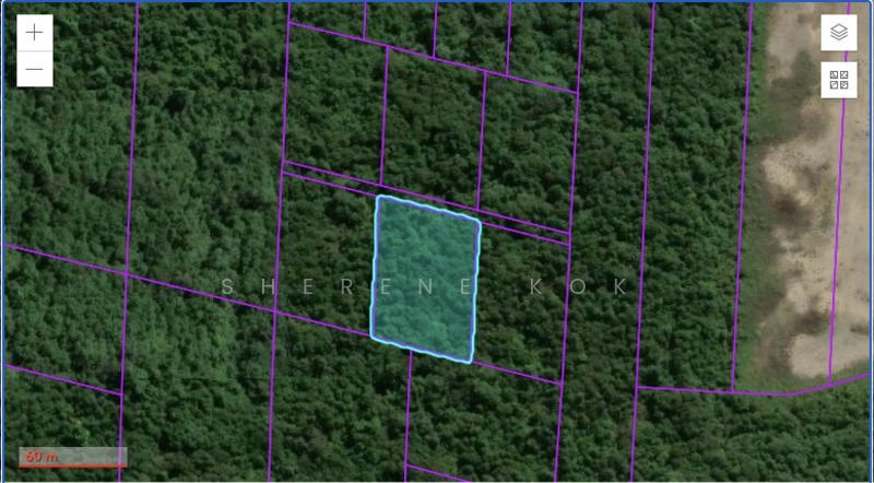 Agricultural Land for Sale in Matang (Kuching) - Sherene Kok - PropertyGuru.com.my