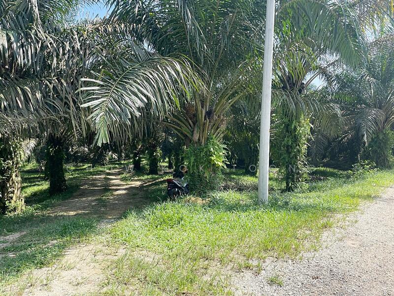Agricultural Land for Sale in Kuala Kubu Bharu (Selangor) - Chow Kok Toong - Exterior - PropertyGuru.com.my