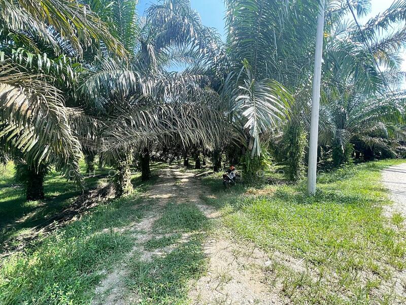 Agricultural Land for Sale in Kuala Kubu Bharu (Selangor) - Chow Kok Toong - Exterior - PropertyGuru.com.my