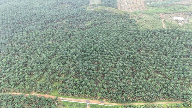 For Sale - Simpang Renggam