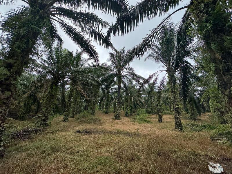 For Sale - Simpang Renggam