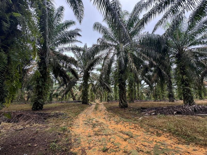 For Sale - Simpang Renggam