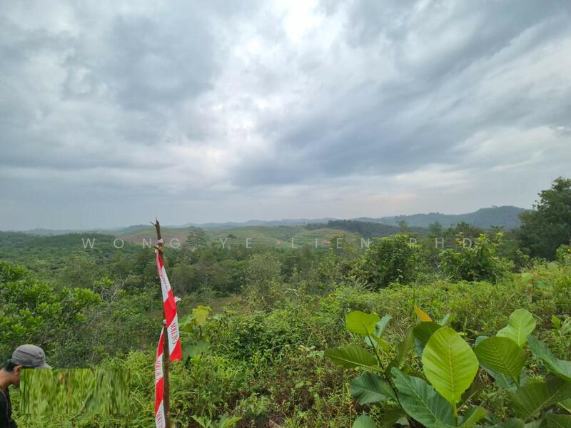 Agricultural Land for Sale in Sungai Gumut (Selangor) - Wong Ye Lien PhD - Exterior - PropertyGuru.com.my
