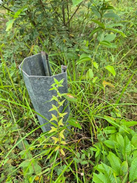 Agricultural Land for Sale in Sungai Gumut (Selangor) - Wong Ye Lien PhD - Exterior - PropertyGuru.com.my