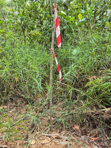 Agricultural Land for Sale in Sungai Gumut (Selangor) - Wong Ye Lien PhD - Exterior - PropertyGuru.com.my