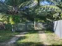 For Sale - Pusing Ipoh Oil Palm Land