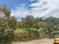For Sale - 6.1 Ekar Dusun Durian Premium, Batang Kali