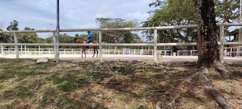 2-storey Terraced House for Sale in Leisure Farm (Gelang Patah) - Jacky Chua - Exterior - PropertyGuru.com.my