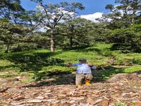 For Sale - Hulu Langat