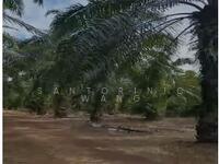 For Sale - Kampung Pinang,Muar