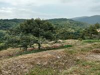 For Sale - Kolam Air Panas Kerling, Mukim Kerling