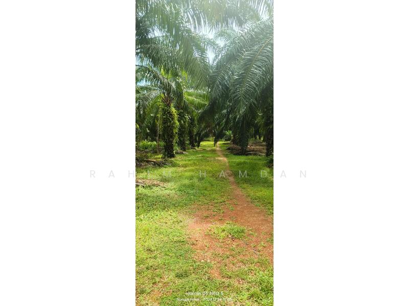 Lot 212, Lorong 2, Jalan Utama Batu 2, Sg Pelek, Sepang untuk Untuk Dijual - RM 2,600,000, Feb 2026 - Exterior - PropertyGuru.com.my