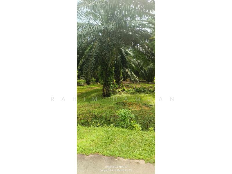 Lot 212, Lorong 2, Jalan Utama Batu 2, Sg Pelek, Sepang untuk Untuk Dijual - RM 2,600,000, Feb 2026 - Garden - PropertyGuru.com.my