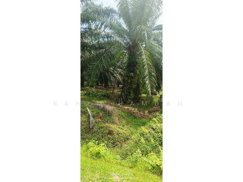 Lot 212, Lorong 2, Jalan Utama Batu 2, Sg Pelek, Sepang untuk Untuk Dijual - RM 2,600,000, Feb 2026 - Exterior - PropertyGuru.com.my