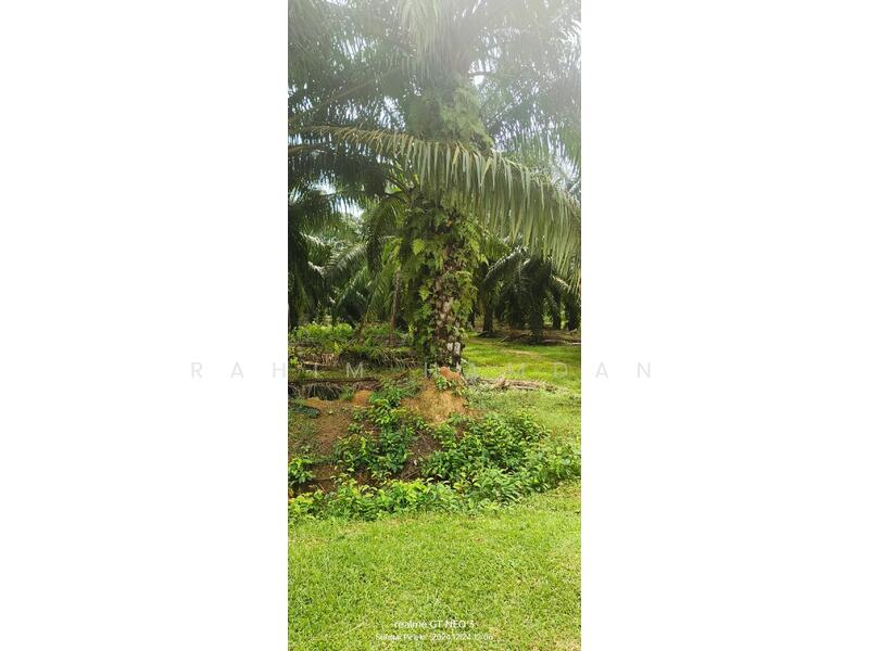 Lot 212, Lorong 2, Jalan Utama Batu 2, Sg Pelek, Sepang untuk Untuk Dijual - RM 2,600,000, Feb 2026 - Exterior - PropertyGuru.com.my