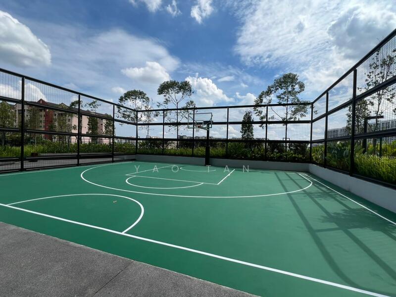 Basketball Court