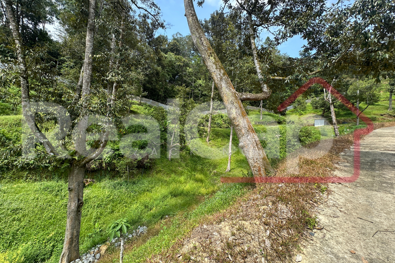 Agricultural Land for Sale in Bentong (Pahang) - Zack Ng - Exterior - PropertyGuru.com.my