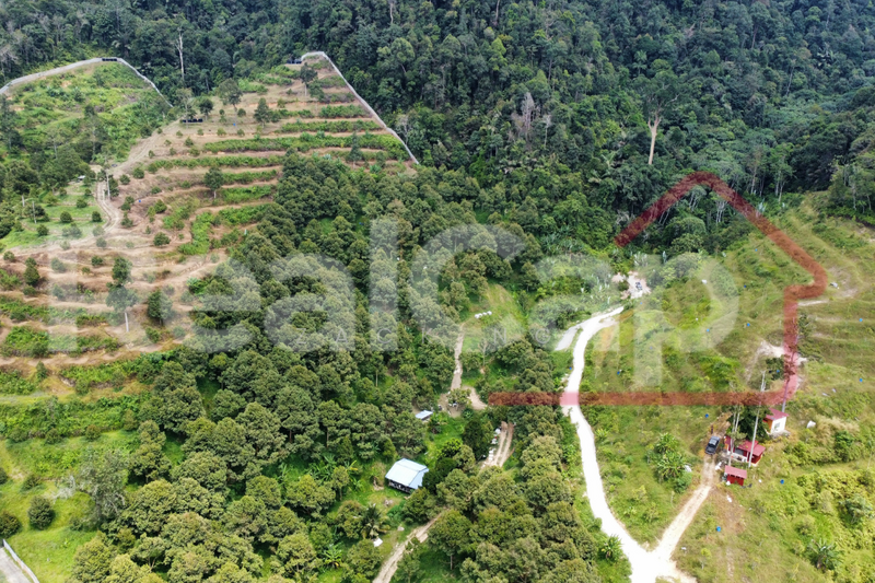 Agricultural Land for Sale in Bentong (Pahang) - Zack Ng - PropertyGuru.com.my