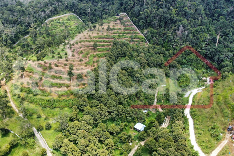 Agricultural Land for Sale in Bentong (Pahang) - Zack Ng - Exterior - PropertyGuru.com.my