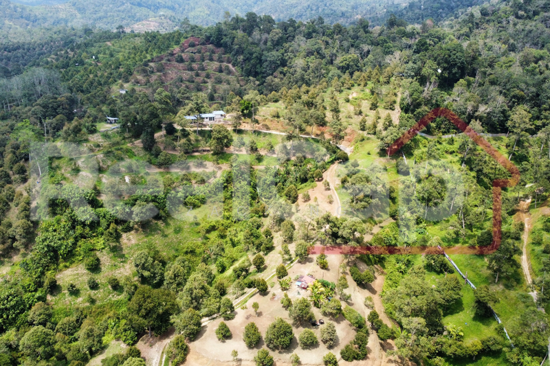 Agricultural Land for Sale in Bentong (Pahang) - Zack Ng - PropertyGuru.com.my