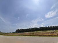For Sale - Johor Kluang 1000 Acres Oil Palm Plantation For Sales