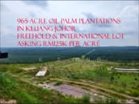 For Sale - Johor Kluang 1000 Acres Oil Palm Plantation For Sales