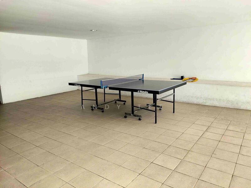 Table Tennis 