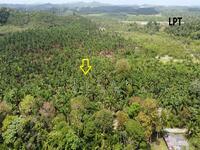 For Sale - Dungun Freehold land 74 acre near LPT and ECRL Dungun