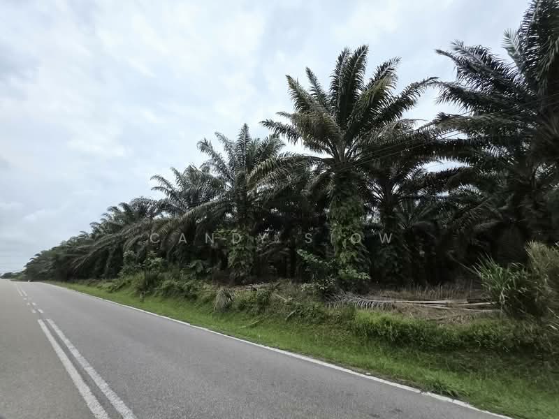 Industrial Land for Sale in Sungai Tiram (Ulu Tiram) - Candy Siow - Exterior - PropertyGuru.com.my