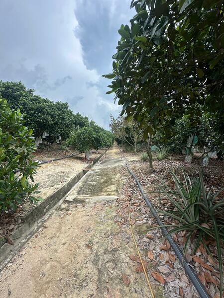 Ditch and Water Hose