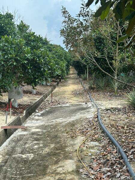 Ditch and Water Hose