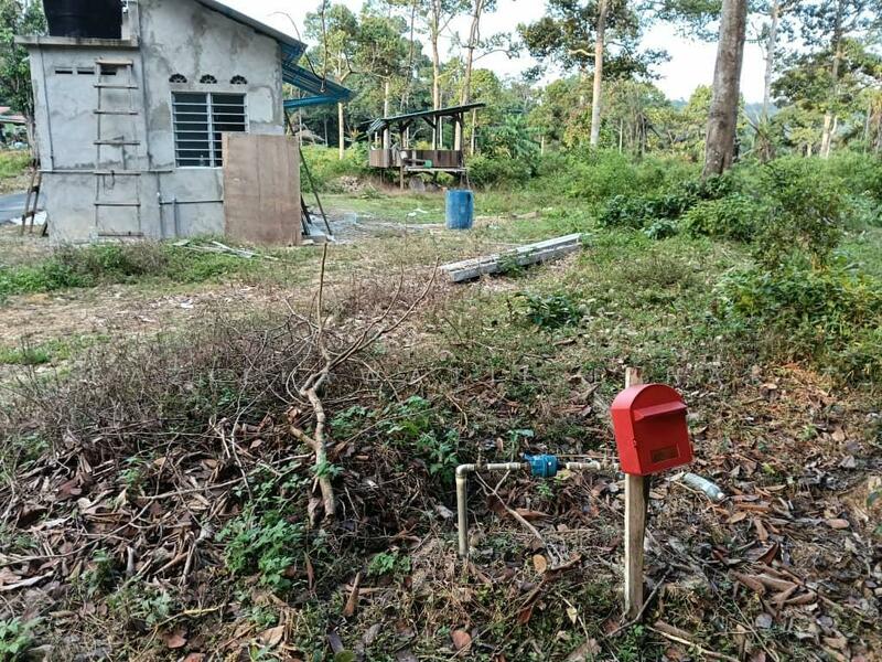 For Sale - Kebun Durian 2.9 Ekar Di Lanchang, Pahang [TANAH SIAP RUMAH KEBUN]
