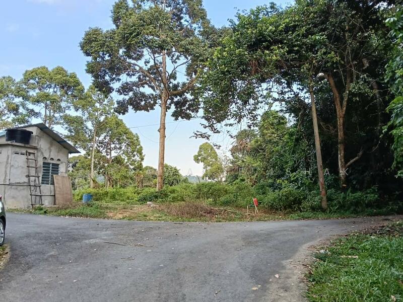 For Sale - Kebun Durian 2.9 Ekar Di Lanchang, Pahang [TANAH SIAP RUMAH KEBUN]