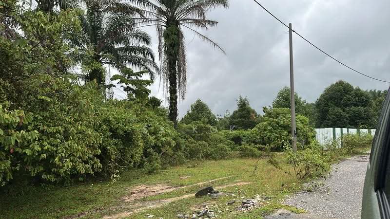 Agricultural Land for Rent in Kota Bahru (Gopeng) - SK Kok - Exterior - PropertyGuru.com.my