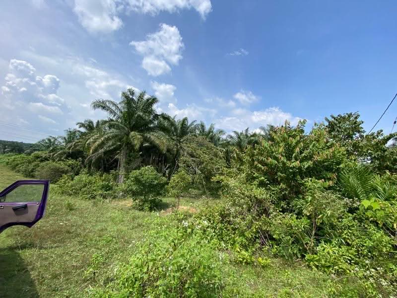 Agricultural Land for Rent in Kota Bahru (Gopeng) - SK Kok - Exterior - PropertyGuru.com.my