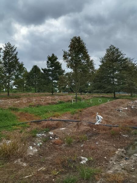 Hartanah Yang Lain untuk Dijual di Nilai (Negeri Sembilan) - David Cheok - Exterior - PropertyGuru.com.my