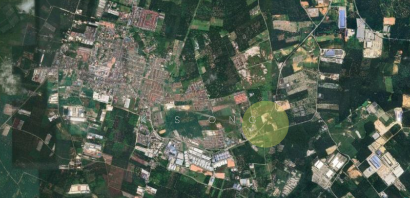 Untuk Dijual - 11 Acres Medium Industrial Land At Beside Main Rd Pekan Nanas For Sales