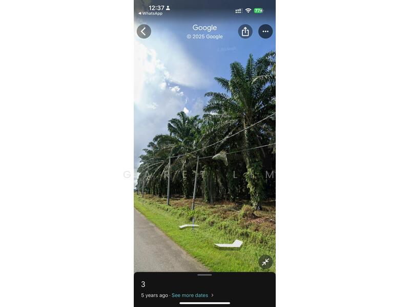 Agricultural Land for Sale in Jemaluang (Mersing) - Garet Lim - Exterior - PropertyGuru.com.my