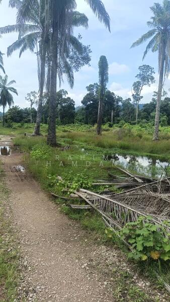 Agriculture Land for sale 78 acres near Jalan Kathong, Jugra, Banting, Selangor untuk Untuk Dijual - RM 49,000,000, Apr 2026 - Exterior - PropertyGuru.com.my